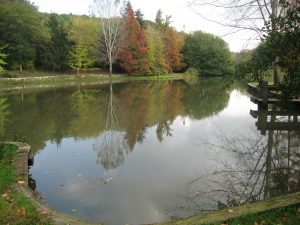 Istanbul’s Natural Oases: The Atatürk Arboretum and Belgrade Forest