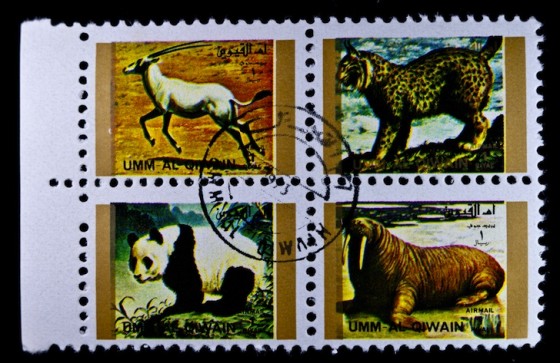 Climate change, global warming, energy, pollution, population, water scarcity, super bugs, the sixth extinction,