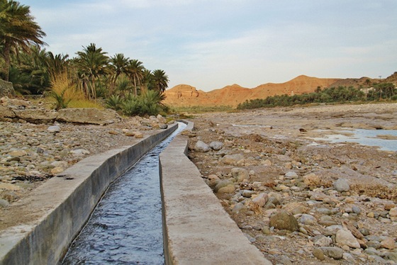 middle east green tradition