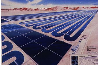 Lootah Biofuels to Grow Algae in Dubai to Reduce Oil Spillage