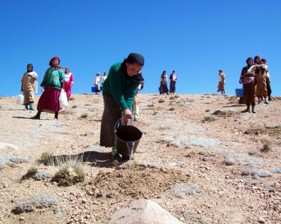 arab women water morocco