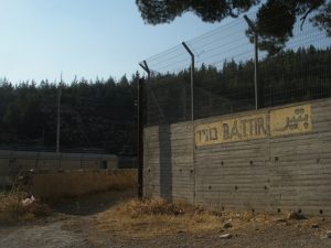 Palestinian Villagers and Israeli Environmentalists Join Forces to Protect Ancient Artefacts