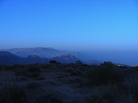 middle east green tradition