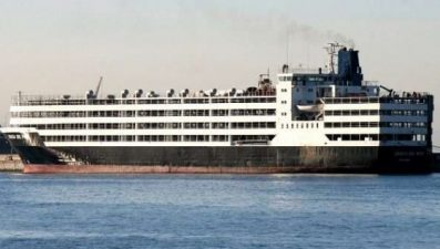 Animal Abuse Horrific for Livestock Sent from West to Middle East Ports