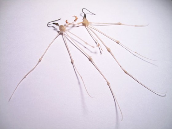 fetish jewelry teeth