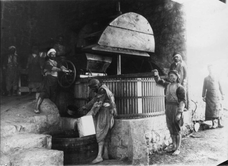 Toast Chateau Ksara’s Traditional Wine Making in Lebanon