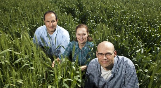 morflora team plant vaccine