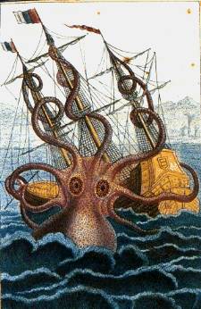 colossal octopus by pierre denys de montfort kraken giant squid