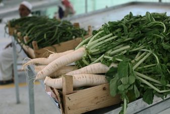 A Farmer’s Market in Dead Dry Qatar