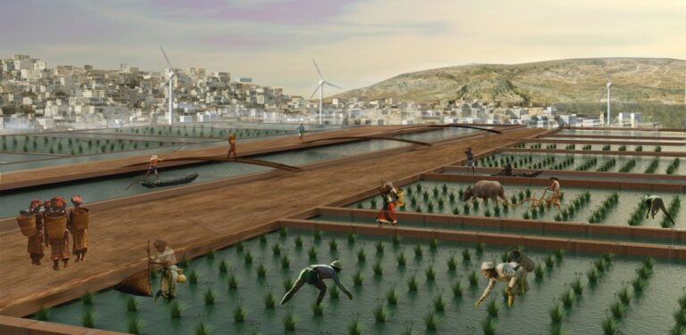 How CBD companies can be more sustainable