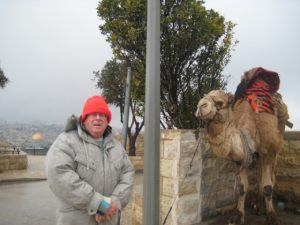 Visiting Jerusalem’s Old Abused Mount of Olives Camel