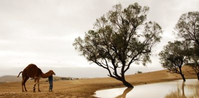 Israel Floods Replenish the Med and Dead Sea
