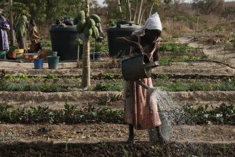 Climate Change Contributing to Mali-Algeria Conflict