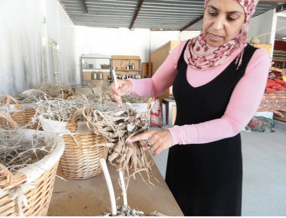 desert daughter cosmetics miriam