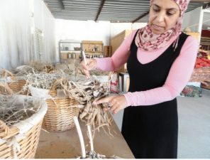 Bedouin Home Stays and Tourism in Israel