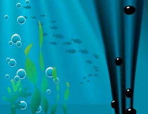 Israel to Drill for Oil in Underwater Nature Reserve Illuminates Schizophrenic Government Policies