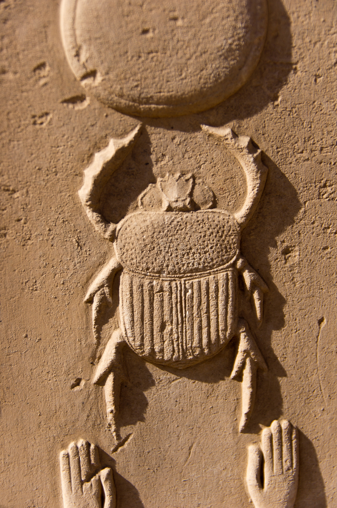 Image of Egyptian Scarab beetle carved into a stone at Luxor Egypt