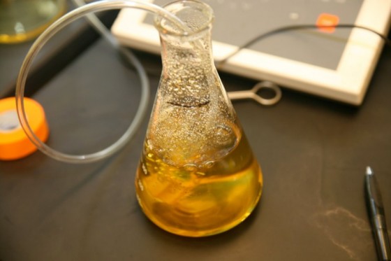 PureMadi, South Africa, UVA, water filtration, clay, earth, low tech, nano-particles, clay water bowls