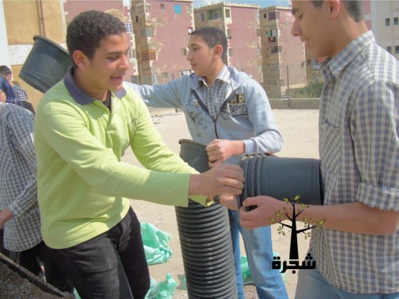 urban, rooftop farming, egypt, shagara, NGO, global warming, carbon emissions, cairo