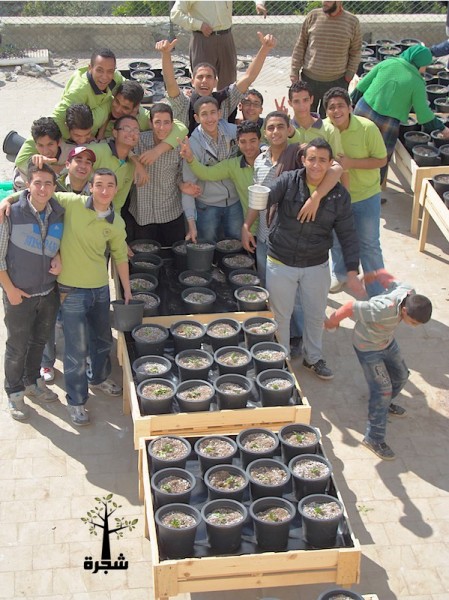 urban, rooftop farming, egypt, shagara, NGO, global warming, carbon emissions, cairo