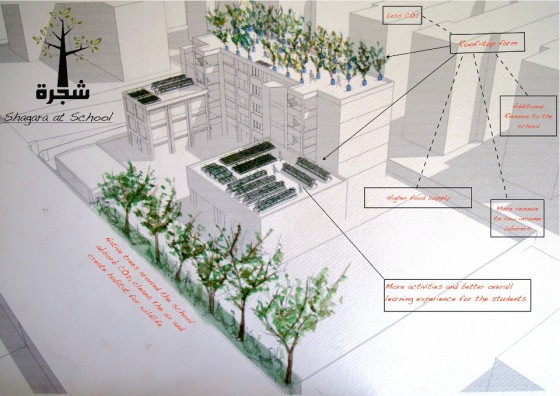 urban, rooftop farming, egypt, shagara, NGO, global warming, carbon emissions, cairo