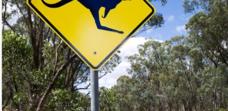 kangaroo-road-sign-australia1.jpg