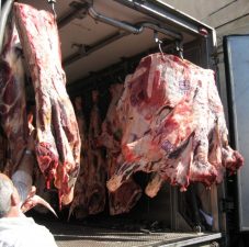 Eat Less Meat and Save The Planet