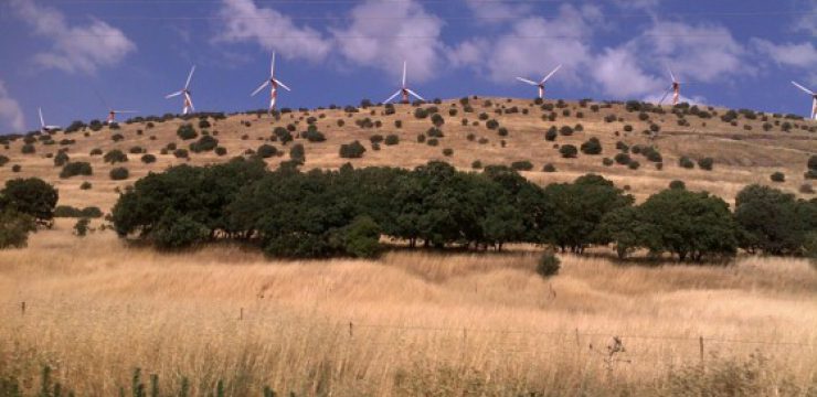 wind-energy-golan-turnines-photo-1024x768.jpg