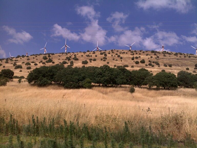 Renewable energies now more cost effective than oil