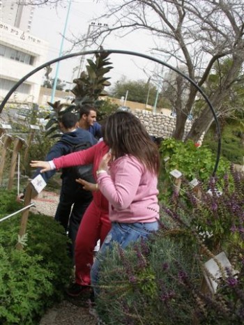 פינות בגינת בית Bהעיוור_20