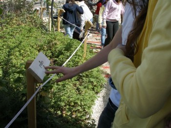 פינות בגינת בית Cהעיוור_07