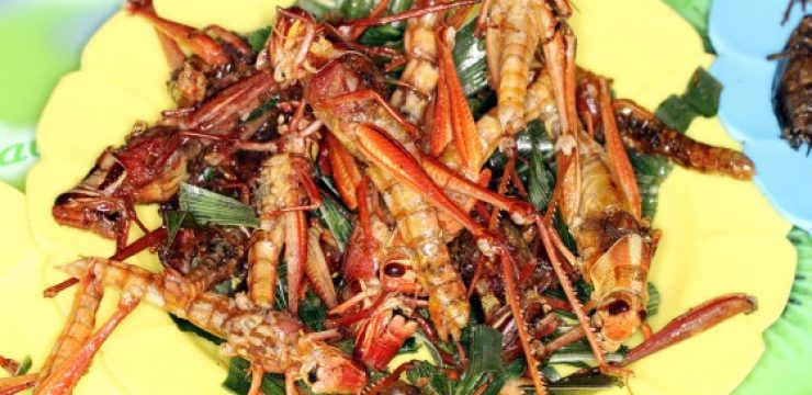 Fried-Grasshoppers.jpg