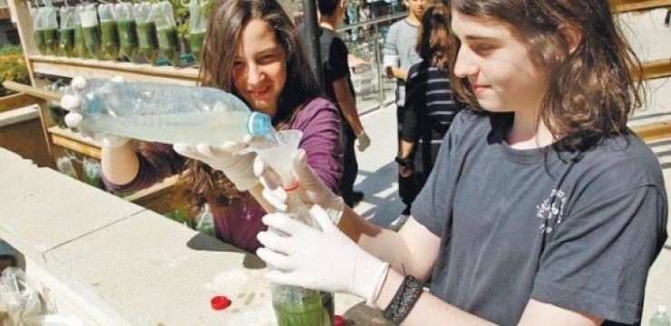 algae-teens-israel.jpg