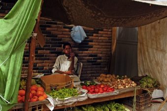 Egypt’s Battle With GM Crops (and Food Poverty)