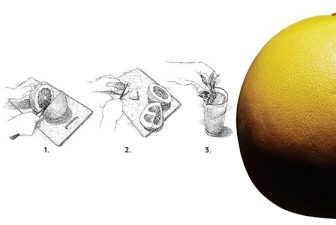 Arak and Pomelo Middle East Cocktail Recipe