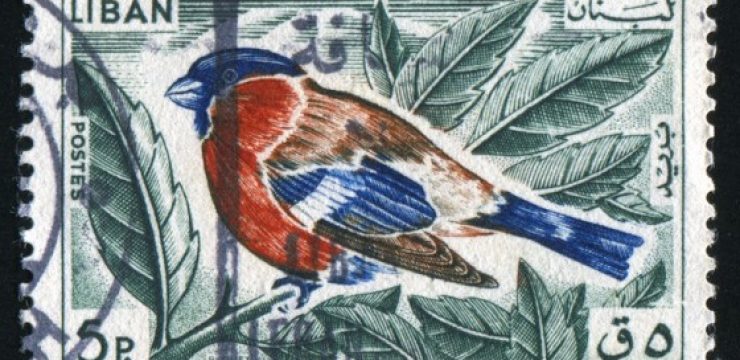 lebanese-stamp-bullfinch.jpg