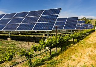 Lebanese “Green Loan” Funded Solar Irrigation System Breaks Ground