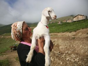 Turkey’s “A Few Brave People” Wins Best Feature Film at Abu Dhabi’s Green Carpet Ceremony