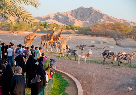 Al Ain Zoo, United Arab Emirates, Emirati, employment, culture, tradition, religion, muslim, environment, the green sheikh