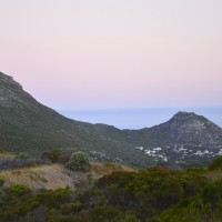 Tafline Laylin, nature, travel, photography, art, eco art, Earth Day, Cape Town, South africa, fynbos, sunset