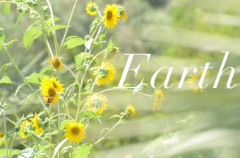 13 Radiant Photos to Honor Earth Day