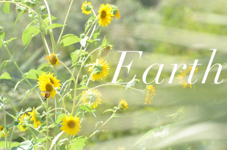 13 Radiant Photos to Honor Earth Day