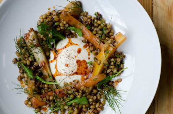 food, health, freekeh, grain, quinoa, slow food, sustainable food, ancient middle eastern grain