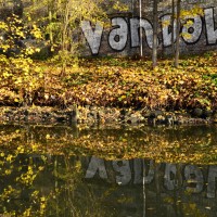 Tafline Laylin, nature, travel, photography, art, eco art, Earth Day, graffiti, Ghent, Belgium, autumn, reflections