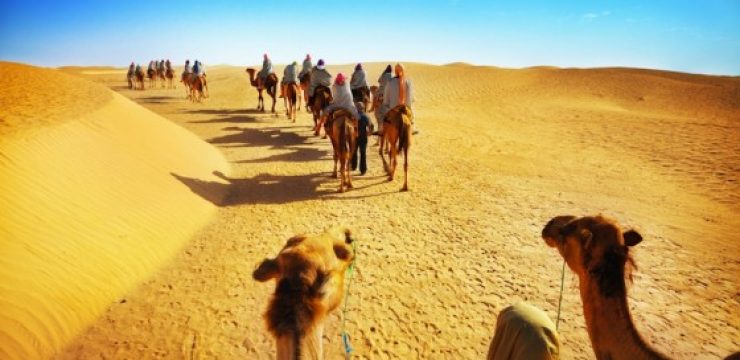 camels-and-people-in-the-sahara-desert.jpg