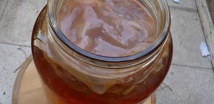 jar-of-kombucha-tea.jpg