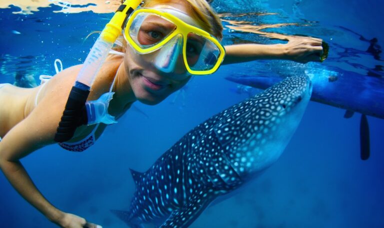 Shark Visits Red Sea Bathers in Eilat