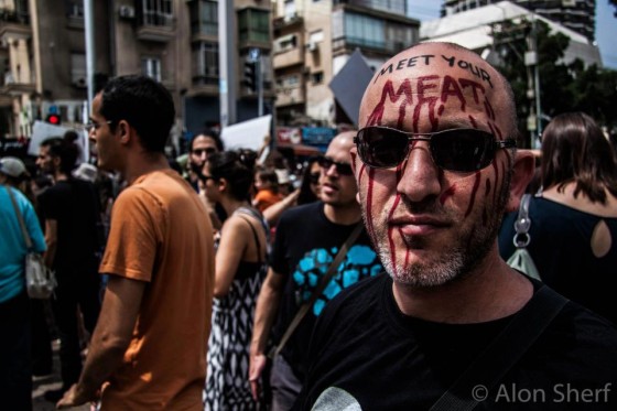 269life, animal rights activism, tel aviv, israel, meat industry, animal cruelty, social protest