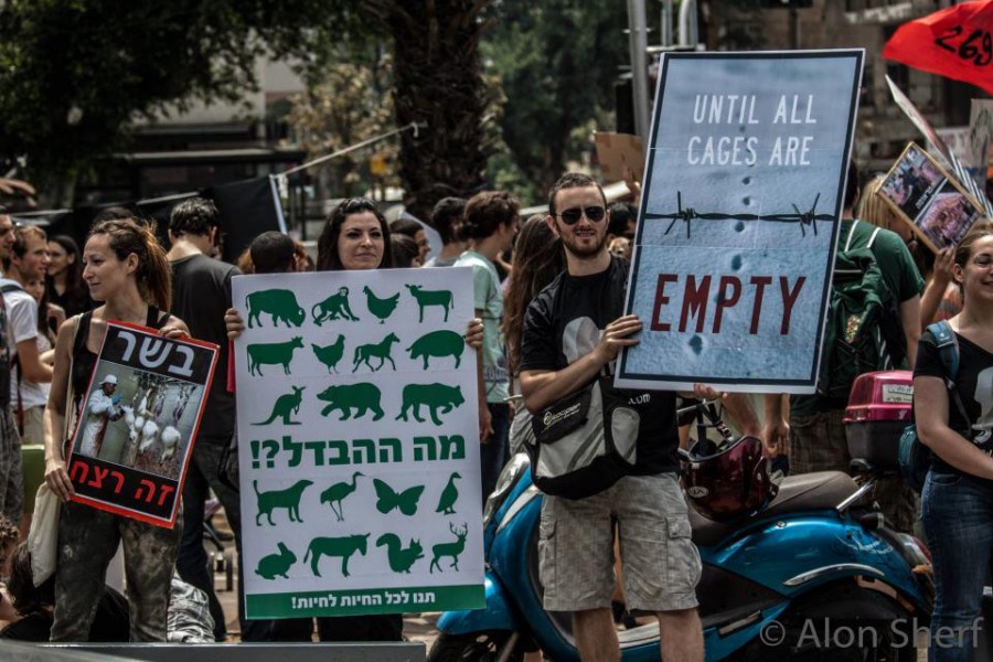 Israel Arrests Ten 269life Animal Rights Activists, 300 Protest in Tel ...