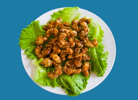 UN FAO, edible insects, world hunger, eat insects to fight world hunger, locust recipe